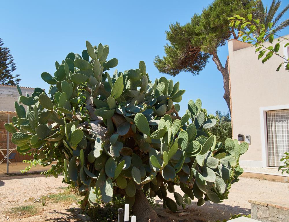 Frühstückspension Casolare Nelle Saline Torre Nubia